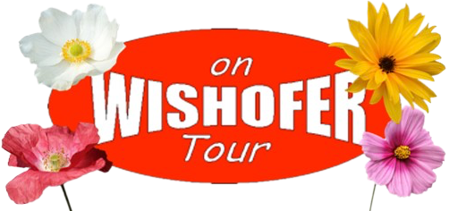 Wishofer on Tour