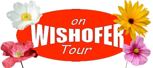 Wishofer on Tour